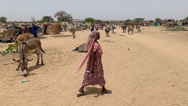 Actualités Tchad En Direct | Info & Actu En Continu Sur Euronews