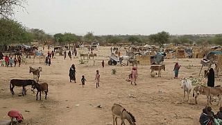 Profughi sudanesi fuggiti in Ciad