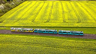 Elővárosi vonat Németországban