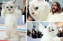 Jared Leto stood out for his quirky take on the theme - dressing in a Choupette-inspired mascot outfit