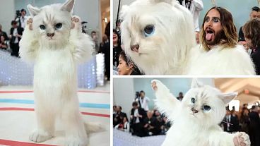 Jared Leto stood out for his quirky take on the theme - dressing in a Choupette-inspired mascot outfit