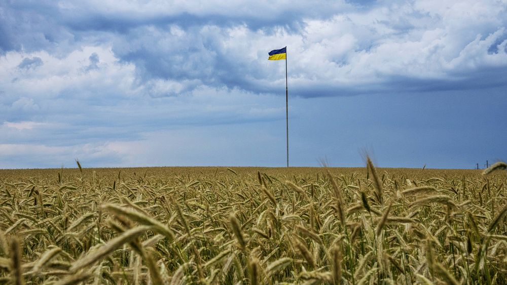 Here’s all we know about the EU deal on tariff-free Ukrainian grain
