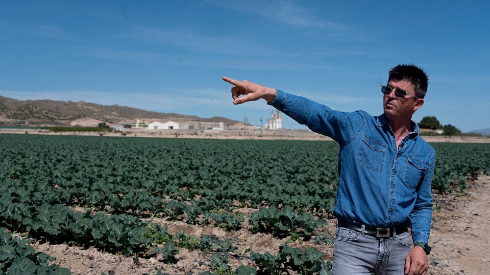 Los agricultores de Murcia temen por el futuro mientras España corta el suministro de agua del río Tajo