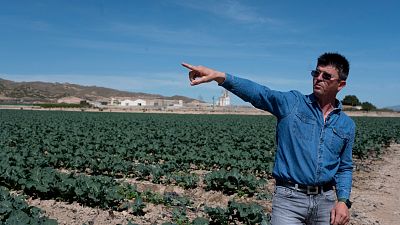 Spanish farmer and president of the Deilor cooperative Juan Francisco Abellaneda.