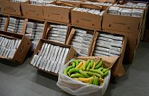 Packets of cocaine in fruit boxes are displayed for the media at the Portuguese police headquarters in Lisbon, Tuesday, May 2, 2023.