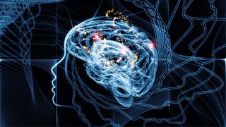 Система может расшифровать мысли человека с помощью скана мозга