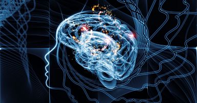 Чтение мыслей: прорыв в науке нейроробототехники МФТИ