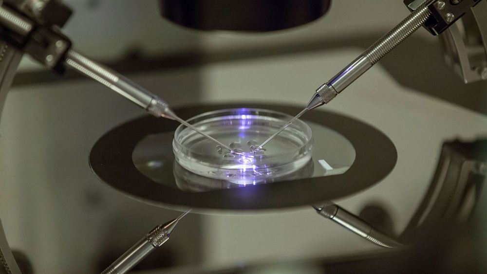 Could 'sperm-injecting robots' be the future of affordable IVF?