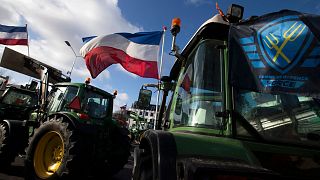 The Farmers Defense Force flag, right, and Dutch flags, fly in the wind on an intersection blocked by tractors in The Hague, Netherlands, 19 February 2020. 