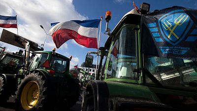he Farmers Defense Force flag, right, and Dutch flags, fly in the wind on an intersection blocked by tractors in The Hague, Netherlands, 19 February 2020. 