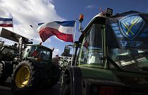 El movimiento ciudadano agrícola de los Países Bajos.