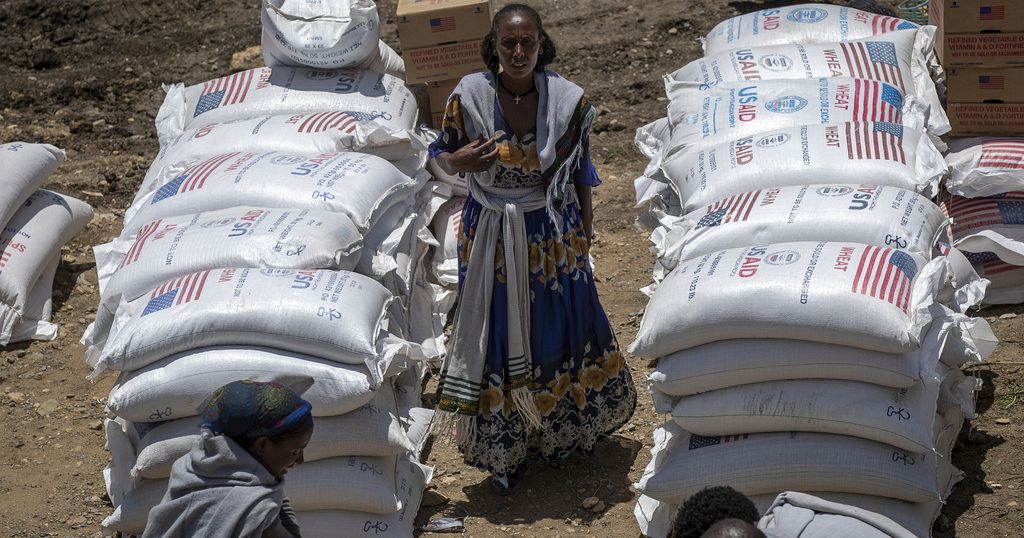 Ethiopia: US and WFP suspend food aid to Tigray | Africanews