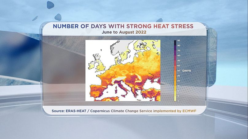 CLIMATE NOW/EURONEWS