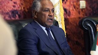 Sudanese special envoy urges rebels to put down arms