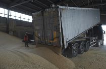 A Iniciativa dos Cereais do Mar Negro ajudou a libertar cereais bloqueados nos portos ucranianos