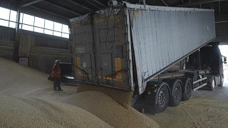 Разгрузка зерна в Измаиле 26 апреля