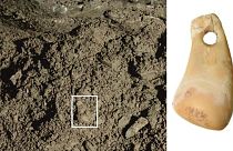 دندان باستانی کشف‌شده در سیبری