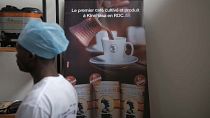 "La Kinoise", the homegrown coffee in the DR Congo reviving business 