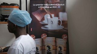 RDC : "Café La Kinoise" veut relancer l'industrie dans le pays 