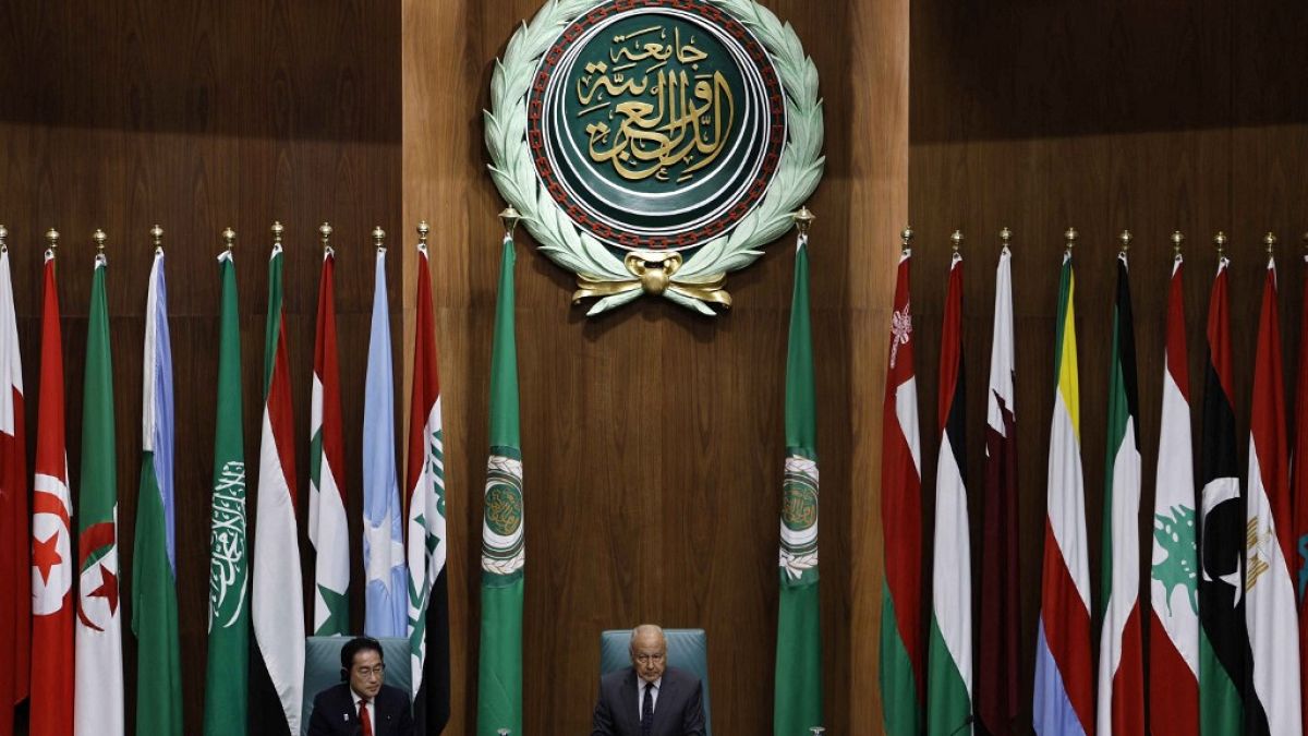 Arap Birliği'nde dışişleri bakanlarından Suriye ve Sudan konusunda olağanüstü toplantı (arşiv)