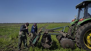 Agricultores ucranianos trabajando