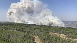 En esta foto facilitada por el Servicio de Incendios del Gobierno de Alberta, un incendio forestal quema una sección de bosque en el distrito de Grande Prairie, Canadá.