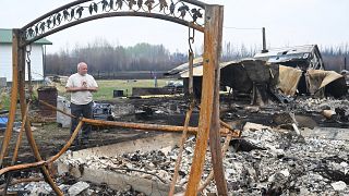 Последствия лесного пожара в Дрейтон-Валли, провинция Альберта