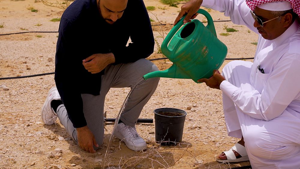 Explore Qatar’s grassroots initiatives aiming to protect the planet