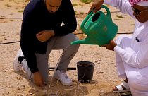 Explore Qatar's grassroots initiatives aiming to protect the planet