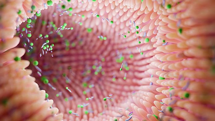 I batteri intestinali potrebbero essere la chiave per prevenire il morbo di Parkinson, affermano gli scienziati finlandesi 3 I batteri intestinali potrebbero essere la chiave per prevenire il morbo di Parkinson, affermano gli scienziati finlandesi