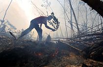 Rusya'da orman yangınları (arşiv)