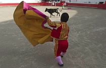 Dwarf bullfighter waves his cape against a calf at the local bullfighting plaza in Mexico