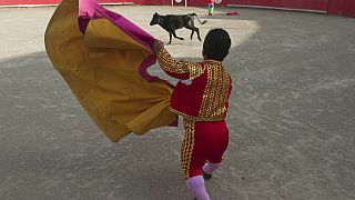 Dwarf bullfighter waves his cape against a calf at the local bullfighting plaza in Mexico