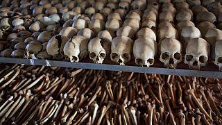 France: trial of a former Rwandan gendarme for "genocide"