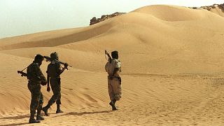 Niger intercepts nearly 1,400 Boko Haram followers - Army