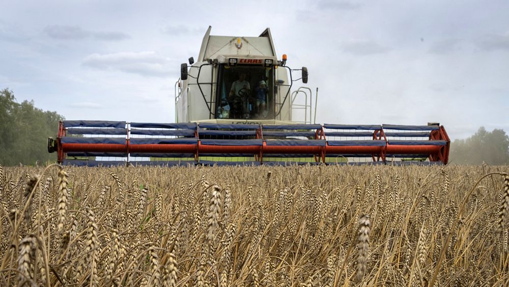 12 countries raise ‘serious concerns’ about EU deal on Ukrainian grain