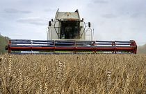 Many developing countries around the world rely on Ukraine's low-cost grain, whose trade has been upended by Russia's invasion.