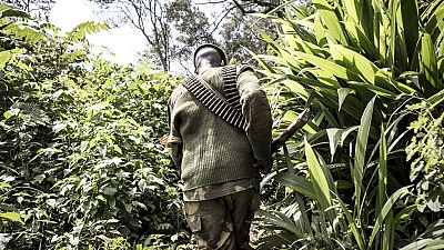 RDC : 1 militaire et 4 miliciens tués dans une attaque près de Kinshasa