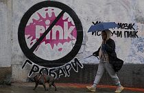 Sırbistan'da suçu öven ve şiddet dozu yüksek reality şovlar yayınlayan Pink TV'ye tepki