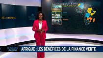 L'Afrique peut-elle réussir le pari d'une industrialisation verte ? [Business Africa]