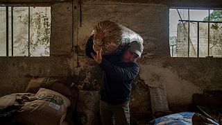 مزارع أوكراني يجمع محصوله من القمح