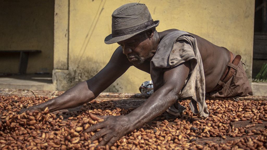 Ghana Chocolate makers steadily record profits while cocoa producers