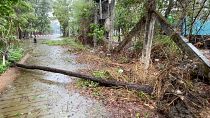 سقوط شجرة على طريق مقفرة مع اقتراب إعصار موكا في سيتوي من ولاية راخين - ميانمار. 2023/05/14