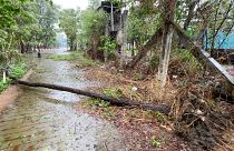 سقوط شجرة على طريق مقفرة مع اقتراب إعصار موكا في سيتوي من ولاية راخين - ميانمار. 2023/05/14