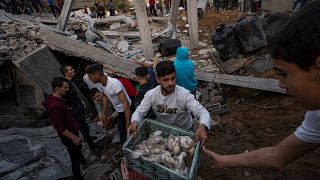 Vecinos de Gaza buscan entre los escombros de lo que fueron sus casas