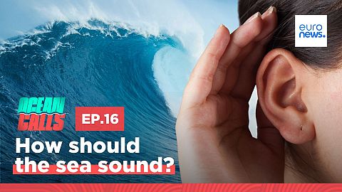 Ocean Calls. Episode 16.