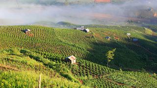 Land suitable for coffee-growing is shrinking with global warming, Christian Aid reports.