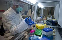 موظف يعرض أسلوب أخذ عينات الحمض النووي خلال جولة صحفية في مختبر الحمض النووي التابع للجنة الدولية المعنية بالأشخاص المفقودين، هولندا، الثلاثاء 24 أكتوبر 2017.