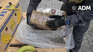 Ιταλός αστυνομικός επιδεικνύει φορτίο με κοκαϊνη που βρέθηκε σε τελάρα με μπανάνες