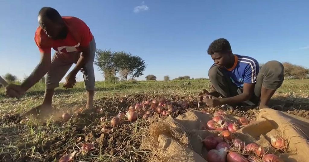 Sudan: Vendors, farmers suffer amid rising prices and fuel shortages